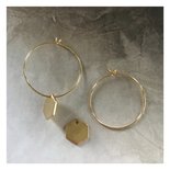Oorbellen mini zeshoek