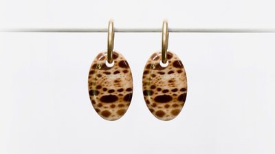 Creool leopard bruin