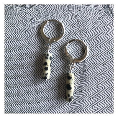 Mini dalmatie z